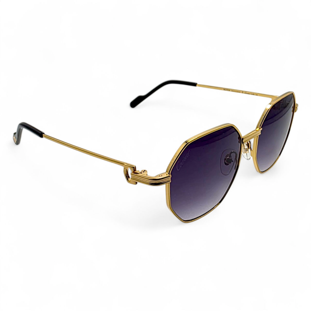 Cartier CT0500S Sunglasses in Pakistan
