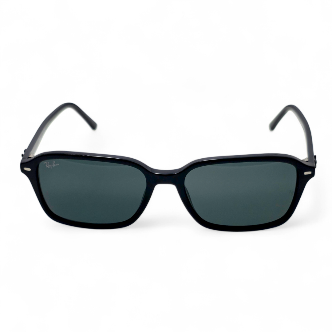 Ray-Ban RB2231 Raimond