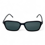 Ray-Ban RB2231 Raimond