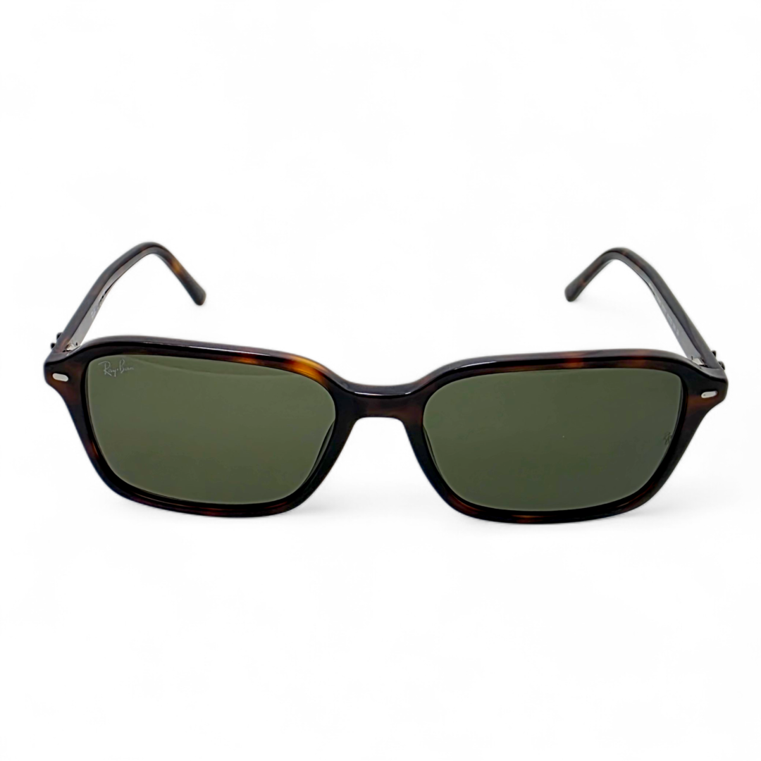 Ray-Ban RB2231 Raimond
