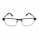 Emprio Armani EA3173
