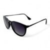 Ray-Ban RB4171 Erika Sunglasses