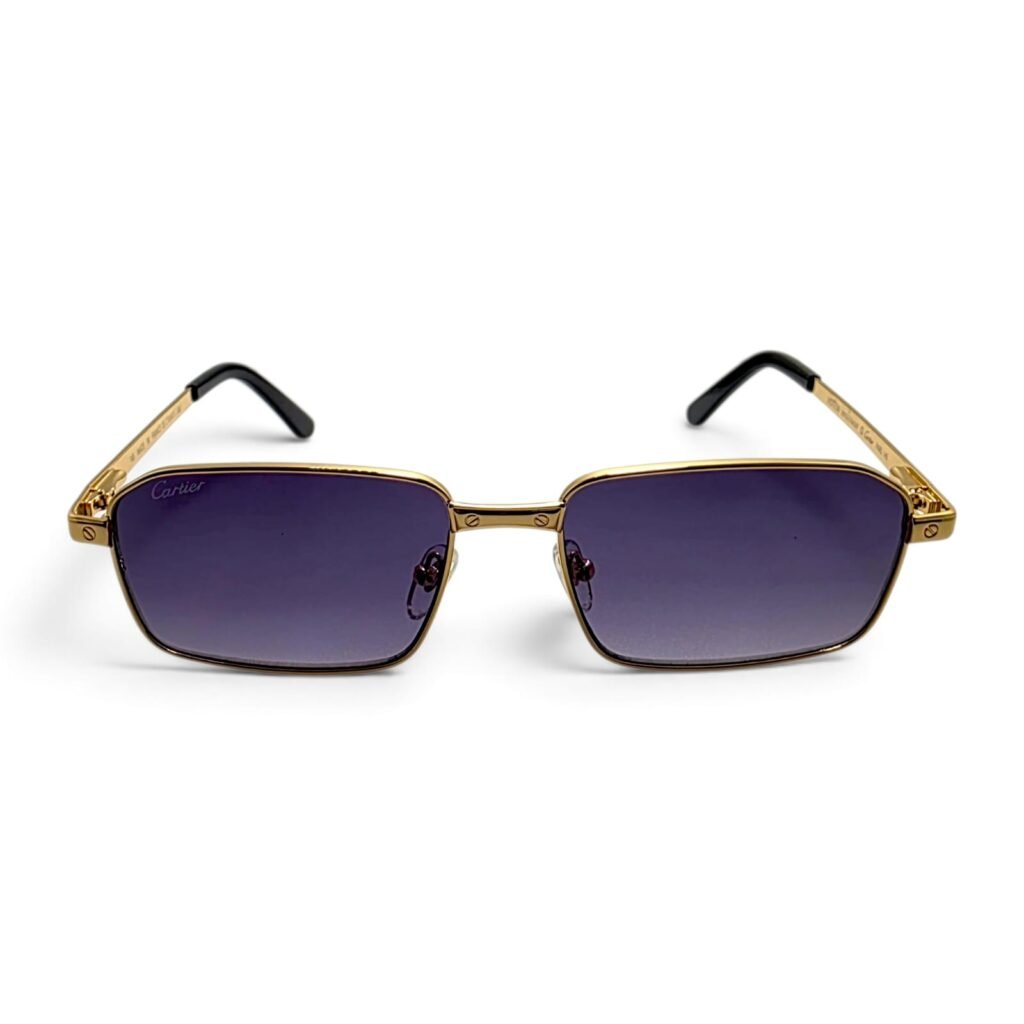 Cartier Santos Dumont