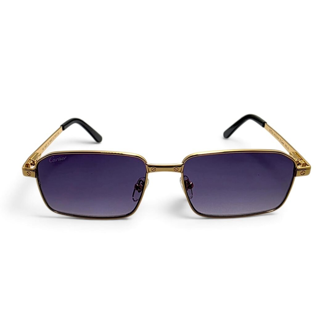 Cartier Santos-Dumont Sunglasses