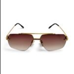 Cartier CT0426S Sunglasses