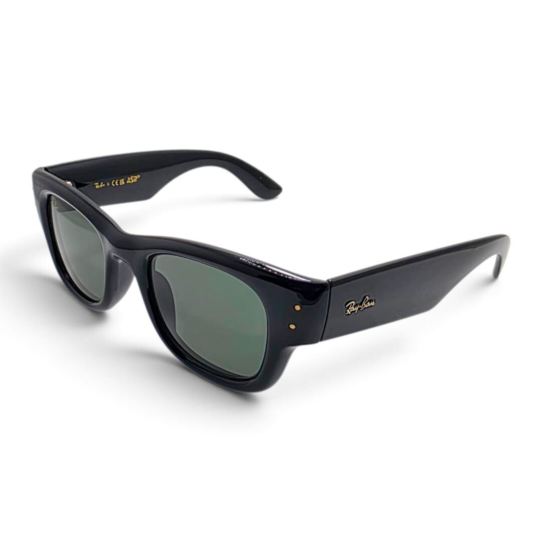 RayBan Puffer Sunglasses