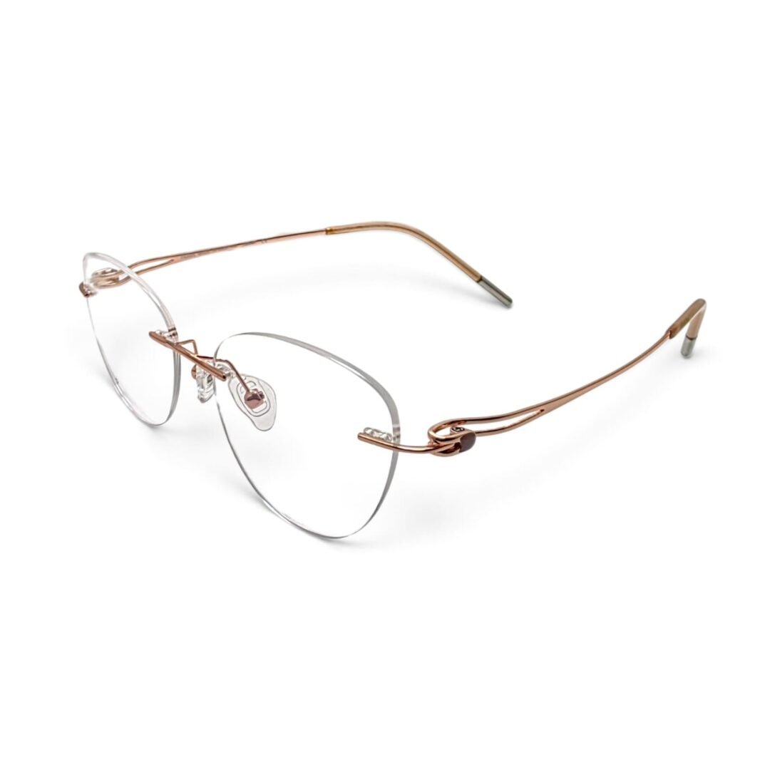 Silhouette 21031 Eyeglasses