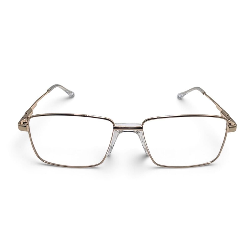 Mont Blanc CH8876